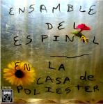 En la casa de poliester (por Ensamble del Espinal)