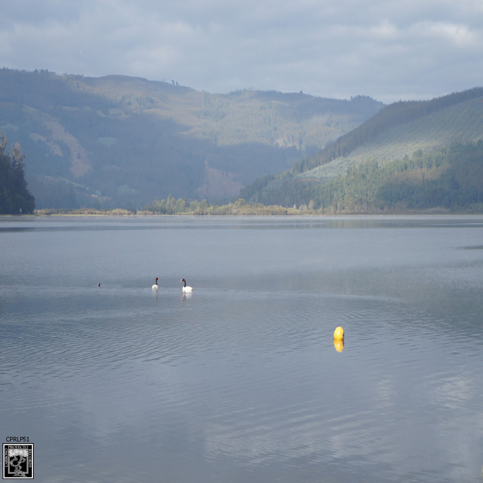 00_-_confinacustico_-_Paisaje_Sonoro_de_Contulmo_-_image_1_-_front