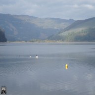 00_-_confinacustico_-_Paisaje_Sonoro_de_Contulmo_-_image_1_-_front