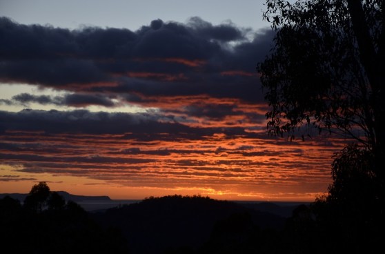 03-Oceanian mornings-Drouhin