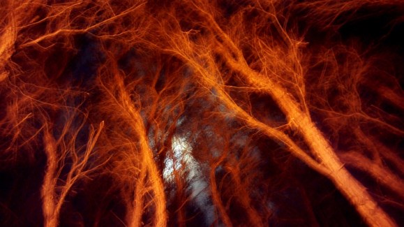 Oceanian PhoNographic Mornings_#06_HEGGE_Storm cycle in the Jiggi valley_Sunday 14th October 2018 20181014 copie