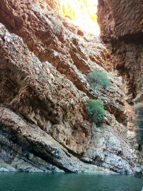 oceanian phonographic mornings_#14_carrey_tjoritja_compr