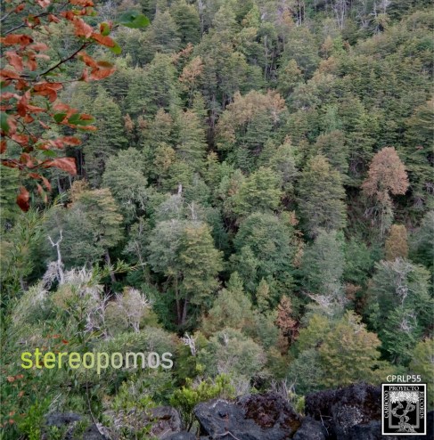 00_-_Bosque_-_image_2_front