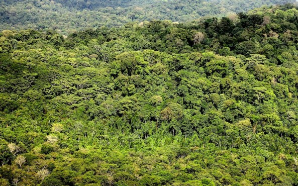 CentralAmericanPhoNographicMornings_#03_RODOLPHE ALEXIS_Dawn Corcovado_compr