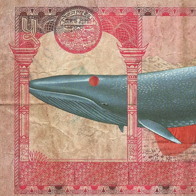 South Asia PhoNographic Mornings_#04_PICO_Pocara Dream_compr