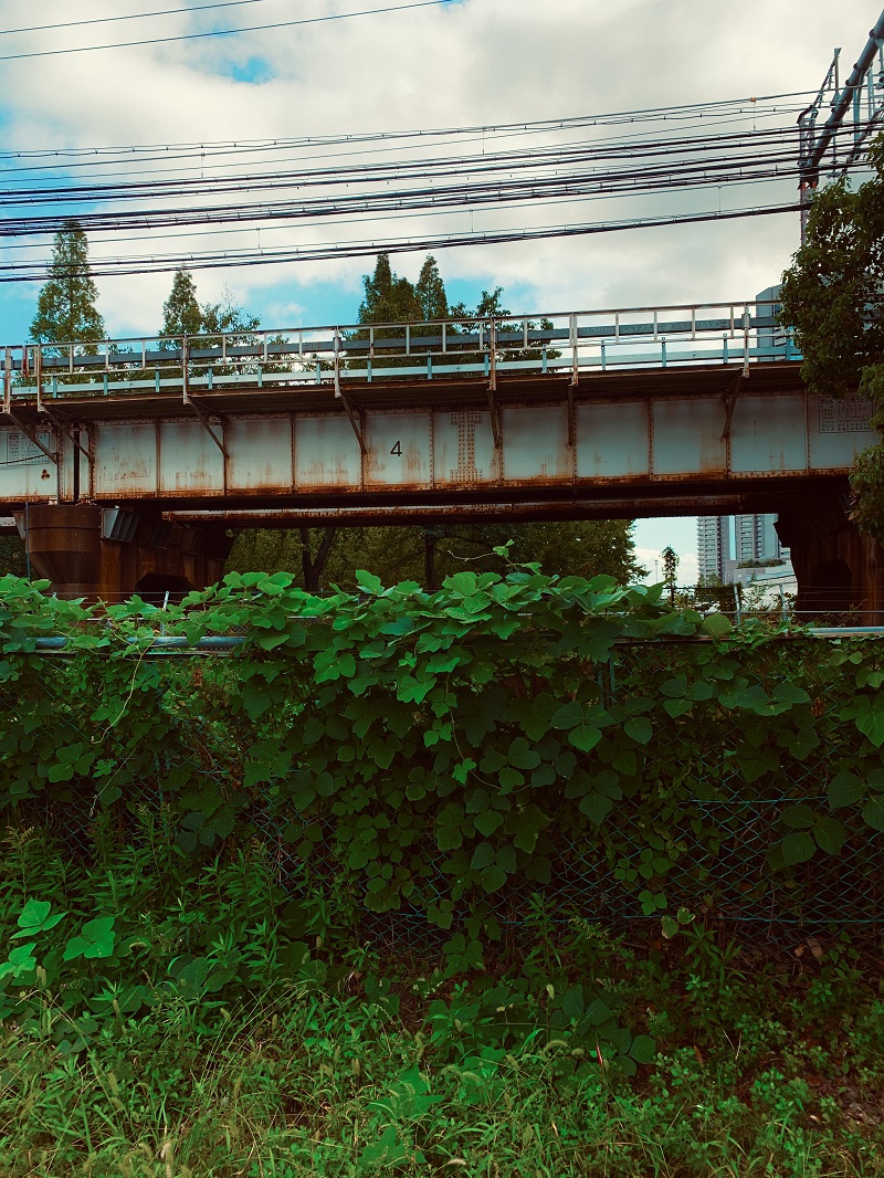 East Asia PhoNographic Mornings_#17_Masayuki Imanishi_levee _Sunday 03rd May2020