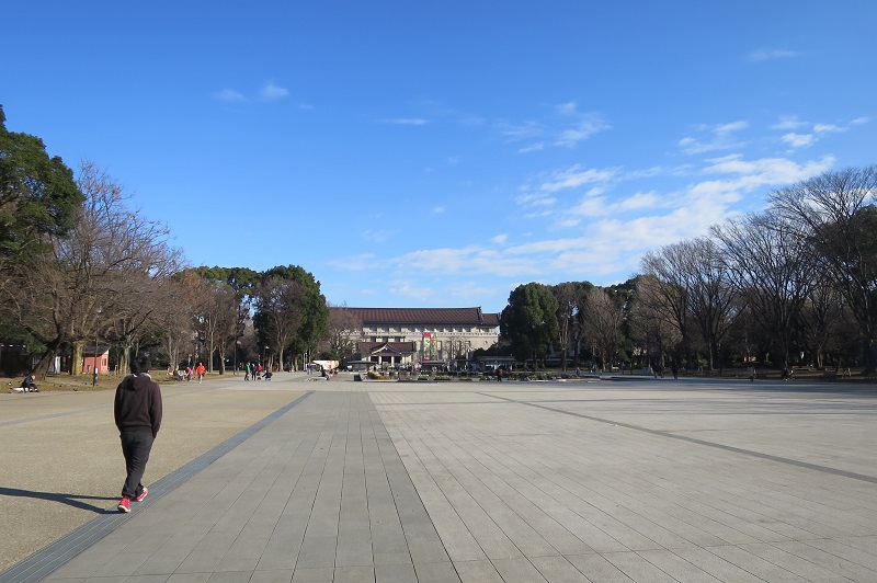 East Asia PhoNographic Mornings_#21_Pietro Bonanno_ Early Morning @ Tokyo National Museum Park